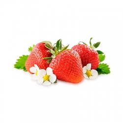 strawberry-allergy-definition9.jpg
